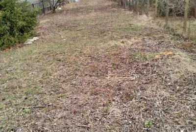 Teren lipia Ilfov lângă pădure 4400mp - 3