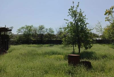 Casă cu 4 camere în Central - 8