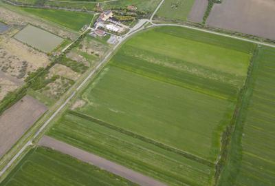 Teren extravilan de 22500mp Zona Ineu - 9