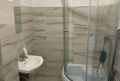 Apartament cu 2 camere în Prelungirea Ferentari - 2