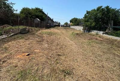 Teren de 1049 mp, în Curtișoara - 3