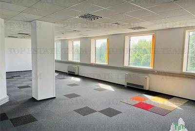 Spațiu comercial, în Kiseleff - 7