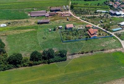 Teren Construcții intravilan de 2469 mp, în Bălata - 7