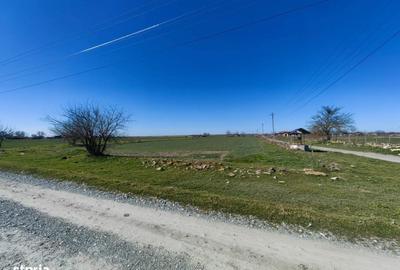 Teren de 7016 mp, în Tortoman - 6