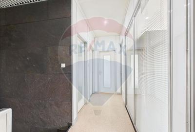 Spațiu industrial, de 472.66000366211 mp, în Theodor Pallady - 28