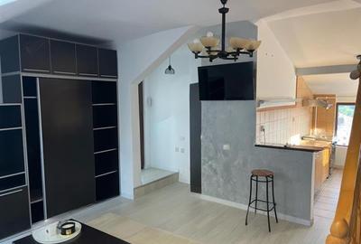 Studio deschis si la regim hotelier, priveliste frumoasa, pet friendly, loc parc - 6