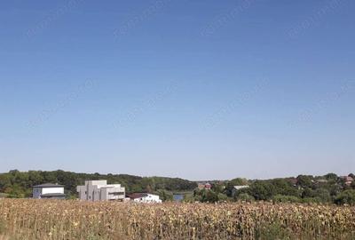 Teren de 5800 mp, în Moara Vlăsiei