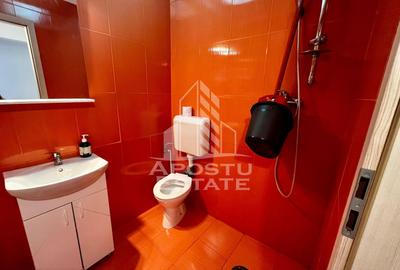 Apartament cu 3 camere decomandat, mobilat în Lipovei - 16