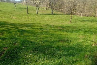 Teren de 8000 mp, în Meteș - 13