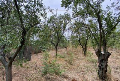 Teren 3000mp intravilan in Mavrodolu, AG - 4