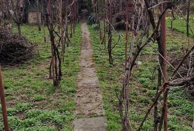 Casă cu 4 camere în Central - 3