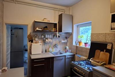 Casă individuală cu 2 camere cu Canalizare în Domenii - 11