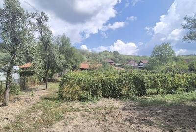 Casa tradi?ionala in Benge?ti-Ciocadia, str. Linia Mar - 7