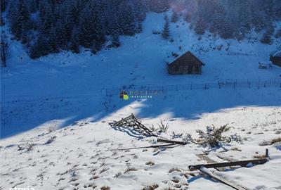 Teren de 1937 mp, în Fundata