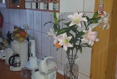 Apartament cu 3 camere în Petros