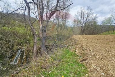 Teren Construcții intravilan de 2910 mp, în Chirițeni - 4
