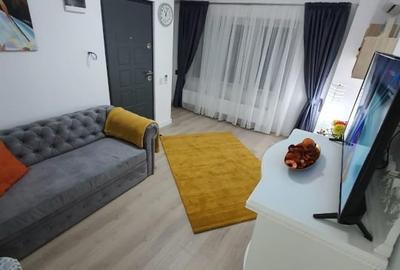 Apartament cu 2 camere semidecomandat, mobilat în Parcul Carol - 5
