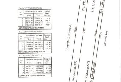 Oportunitate investitie,Balteni, Scrovistea-teren intravilan, la padure, 35244mp - 11
