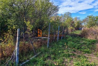 Teren intravilan 2500mp de vanzare in Zoresti, Buzau - 5