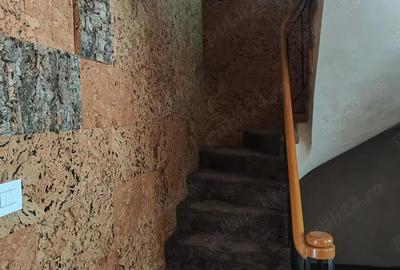 Casă cu 5 camere cu Teren 243 Mp în Herăstrău - 6