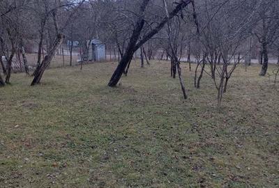 Teren de 2000 mp, în Ocina de Sus - 1