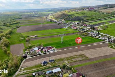 Teren de 6200 mp, în Forăști - 5