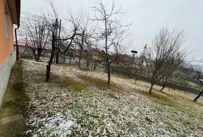 Casă cu Teren 3000 Mp în Central - 4