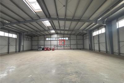 Depozit/hala/spatiu industrial Pantelimon - Centura - 8