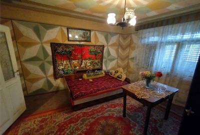 Bogodint, Casa 440mp cu 4 Hectare Teren, Pret Negociabil - 8