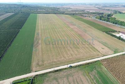 Gaminvest Teren intravilan de vanzare, 66400 mp, langa Oradea, Bihor ,V4117 - 3