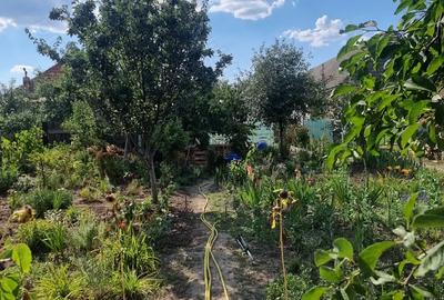 Casa de vanzare cu gradina mare in Covaci. - 7