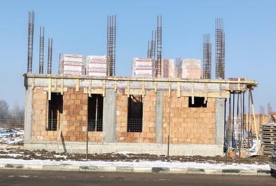 Vile individuale padurea Rosu - 18