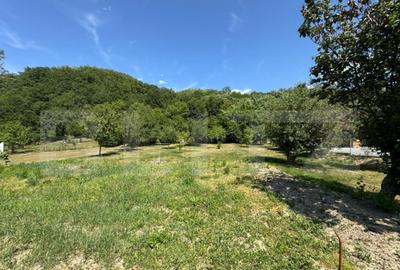 Casa cu 2 camere 53 mp in Lesnic, COMISION 0 PENTRU CUMPARAT - 8