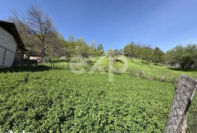 Teren de 14613 mp, în Tigveni - 5