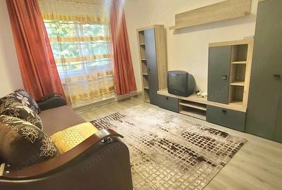 Vand 1 cam Tudor - 2