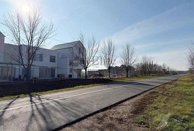 Teren intravilan 550 mp de vanzare in Paleu - 4