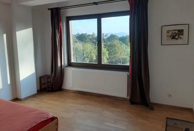 Apartament cu 2 camere decomandat în Sub Arini - 4