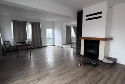 Oportunitate!! Casa individuala, afacere la cheie, Satu Mare - 8