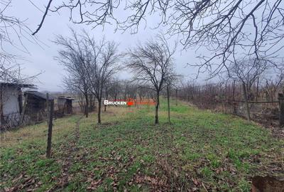 Casa cu teren aferent - 16