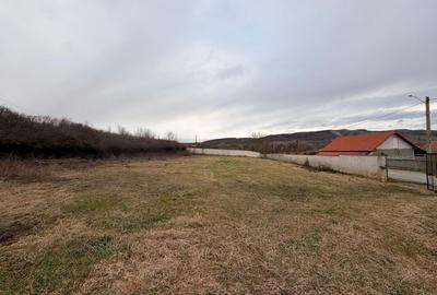 Teren de 1863 mp, în Vest - 2