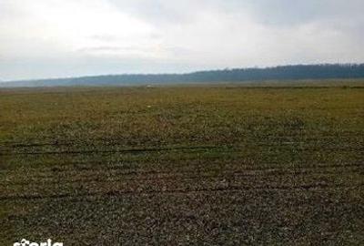 Teren de 635 mp, în Hârsești - 1