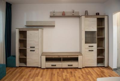 Garsonieră semidecomandată, mobilată în Costin Georgian - 3