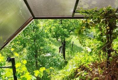 Grosi, 2 case , 7 ari teren Grosi, 2 case , 7 ari teren - 25