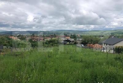 Teren de 10656 mp, în Central - 2