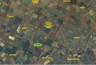 Teren de 10000 mp, în Valea Măcrișului - 1