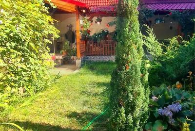 Casa de vanzare 170 mp, teren 1800 mp, Medias, cartier Vitrometan - 7