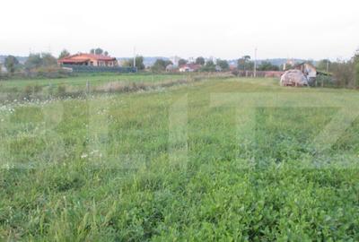 Teren intravilan 6000 mp cu 2 fronturi, parcelabil - 2