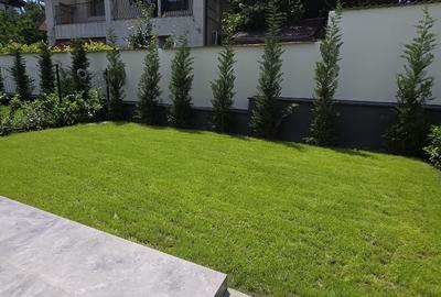 Duplex cu 4 camere cu Canalizare în Giulești - 31