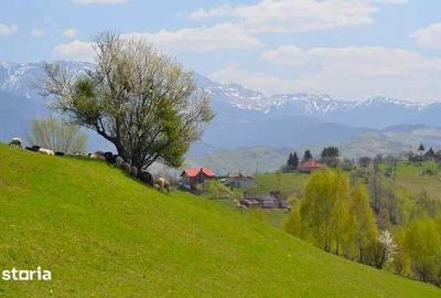 Teren de 970 mp, în Moieciu - 3