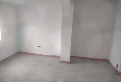 Casă cu 3 camere cu Teren 2400 Mp în Diosig - 4